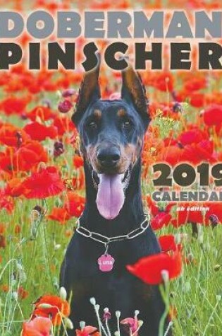 Cover of Doberman Pinscher 2019 Calendar (UK Edition)