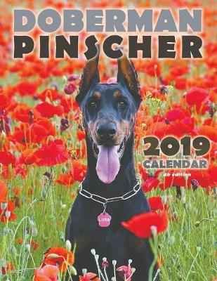 Book cover for Doberman Pinscher 2019 Calendar (UK Edition)