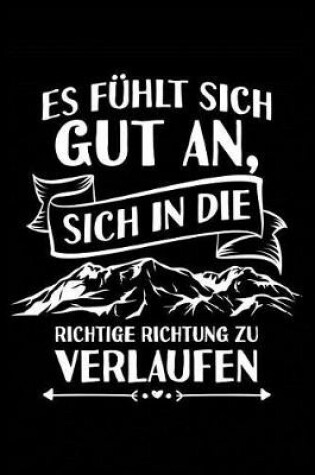 Cover of In Die Richtige Richtung Verlaufen