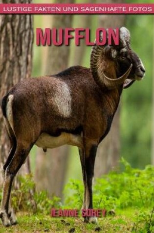 Cover of Mufflon