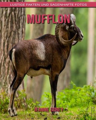 Book cover for Mufflon