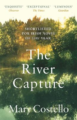Book cover for The River Capture