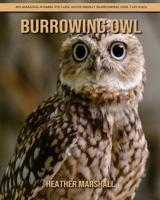 Book cover for Burrowing Owl