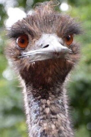 Cover of Startled Emu Portrait Journal