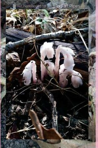 Cover of Your Notebook! Indian Pipes