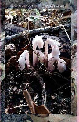 Book cover for Your Notebook! Indian Pipes
