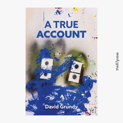 Book cover for A True Account