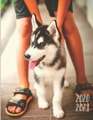 Book cover for Daily Planner 2020-2021 Husky Dog 15 Months Gratitude Hourly Appointment Calendar