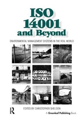 Book cover for ISO 14001 and Beyond