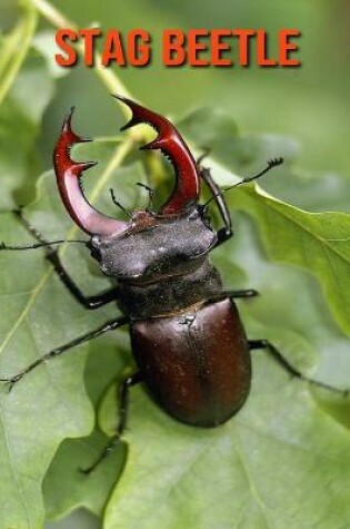 Cover of Stag Beetle