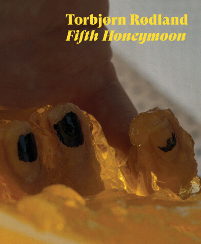 Book cover for Fifth Honeymoon