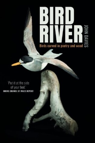Cover of Bird River