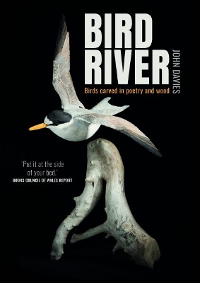 Book cover for Bird River