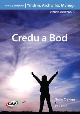 Book cover for Ymdrin, Archwilio, Mynegi: Credu a Bod