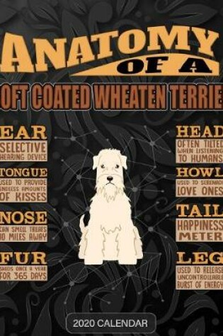 Cover of Anatomy Of A Soft Coated Wheaten Terrier