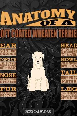 Book cover for Anatomy Of A Soft Coated Wheaten Terrier