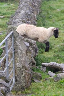 Book cover for A Sheep Jumping Over a Stone Fence Journal