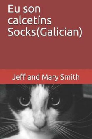 Cover of Eu son calcetins Socks(Galician)