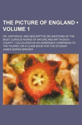 Cover of The Picture of England (Volume 1); Or, Historical and Descriptive Delineations of the Most Curious Works of Nature and Art in Each County Calculated as an Agreeable Companion to the Tourist, or a Class Book for the Student