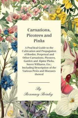 Cover of Carnations, Picotees and Pinks - A Practical Guide to the Cultivation and Propagation of Border, Perpetual and Other Carnations, Picotees, Garden and Alpine Pinks, Sweet Williams, Etc.; Including Description of the Various Pests and Diseases Thereof