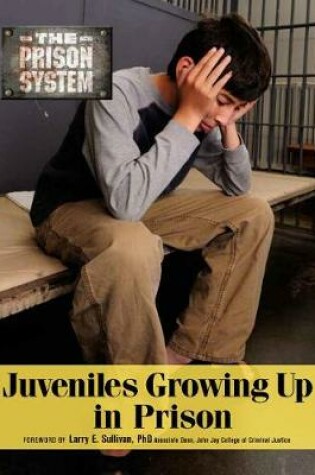 Cover of Juvenilesgrowing Up in Prison