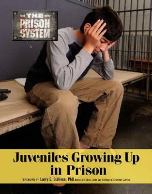 Cover of Juvenilesgrowing Up in Prison