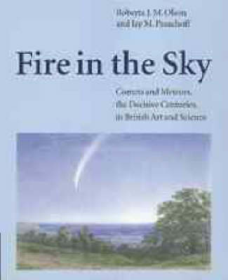 Book cover for Fire in the Sky