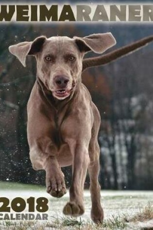 Cover of Weimaraner 2018 Calendar