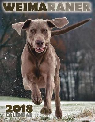 Book cover for Weimaraner 2018 Calendar