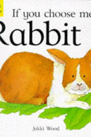 Cover of Rabbit