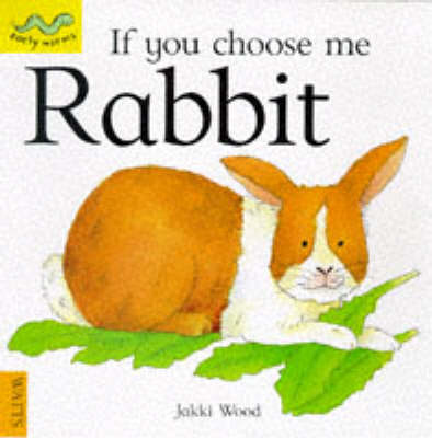 Cover of Rabbit