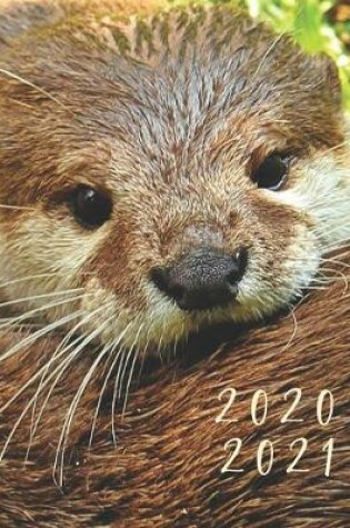 Cover of 2020-2021 2 Year Planner Sea Otters Monthly Calendar Goals Agenda Schedule Organizer