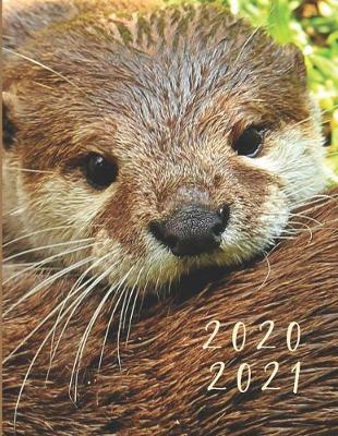 Book cover for 2020-2021 2 Year Planner Sea Otters Monthly Calendar Goals Agenda Schedule Organizer