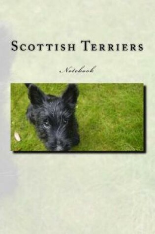 Cover of Scottish Terriers