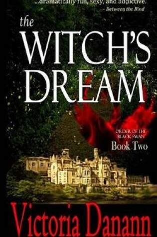 Cover of The Witch's Dream