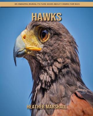 Book cover for Hawks