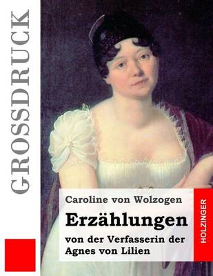 Book cover for Erzahlungen (Grossdruck)