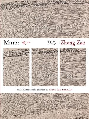 Book cover for Mirror