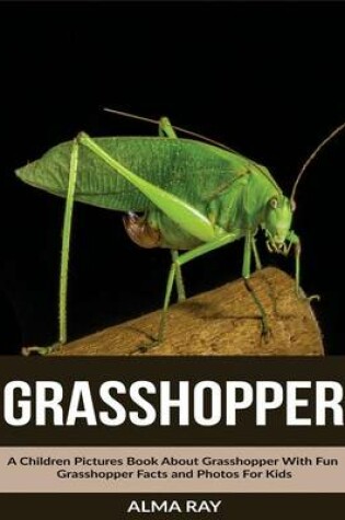 Cover of Grasshopper