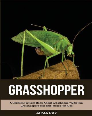 Book cover for Grasshopper