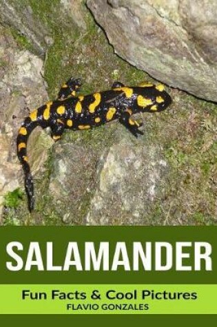 Cover of Salamander