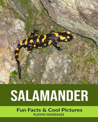 Book cover for Salamander