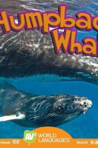 Cover of Humpback Whale