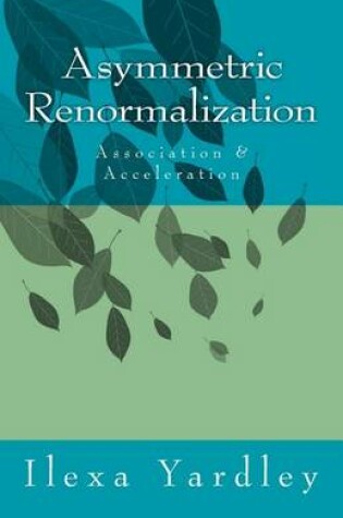 Cover of Asymmetric Renormalization