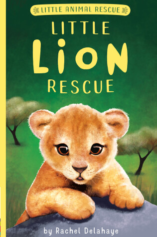 Cover of Little Lion Rescue