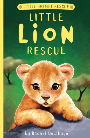 Book cover for Little Lion Rescue