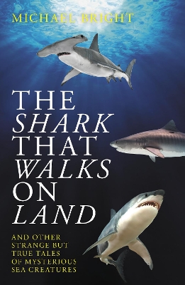 Book cover for The Shark That Walks on Land