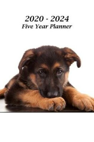 Cover of 2020 - 2024 Five Year Planner