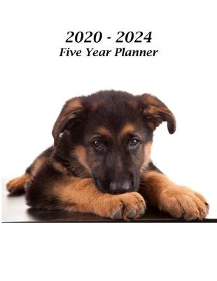 Book cover for 2020 - 2024 Five Year Planner