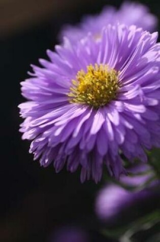 Cover of Purple Aster Flower Gardening Journal